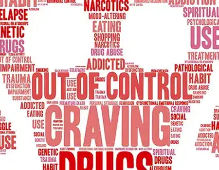 Addiction hvad er det