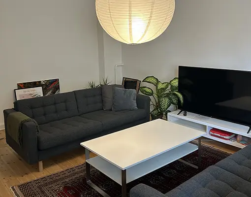 Renovering af AlfaRehab herberg stuen
